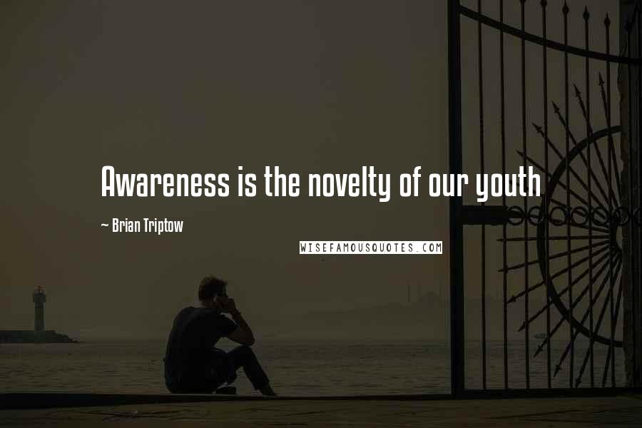 Brian Triptow Quotes: Awareness is the novelty of our youth