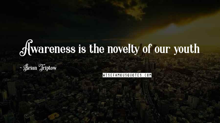 Brian Triptow Quotes: Awareness is the novelty of our youth