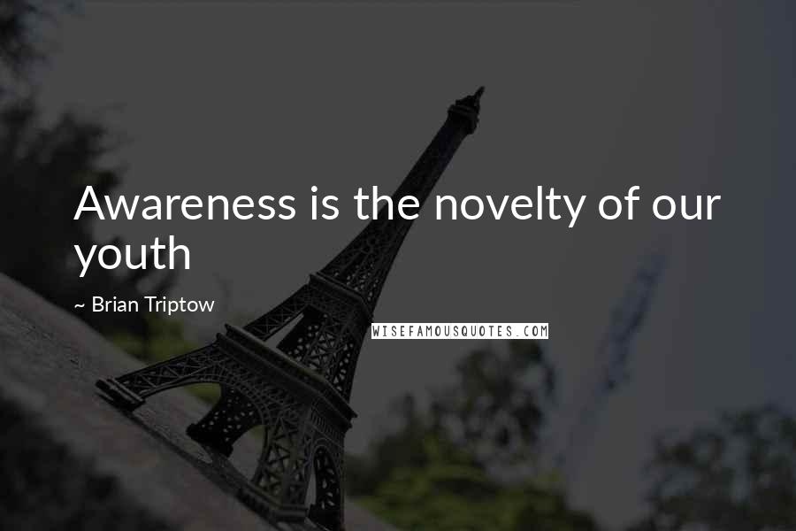 Brian Triptow Quotes: Awareness is the novelty of our youth