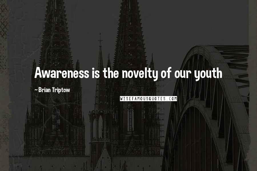 Brian Triptow Quotes: Awareness is the novelty of our youth