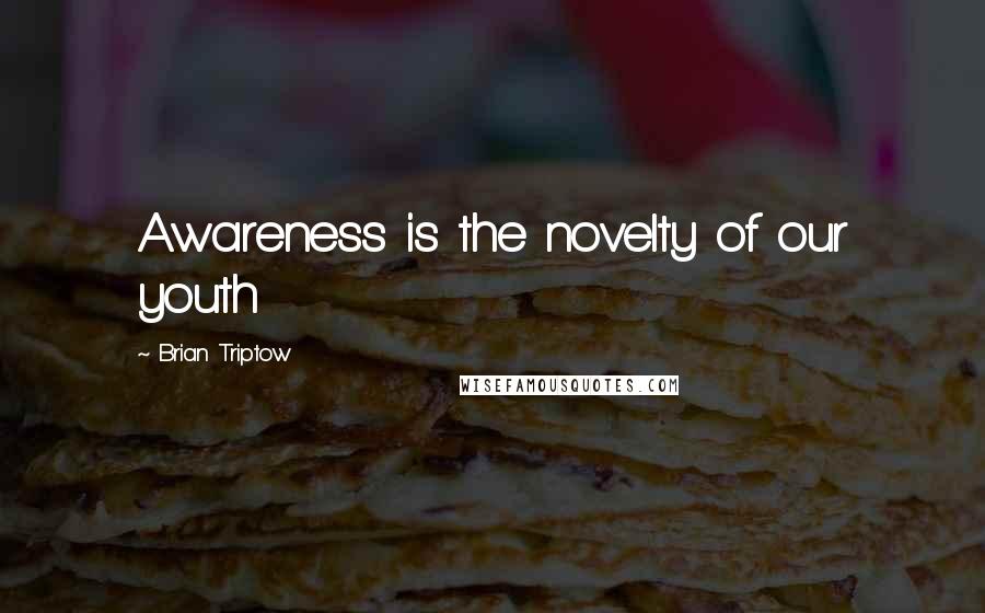 Brian Triptow Quotes: Awareness is the novelty of our youth