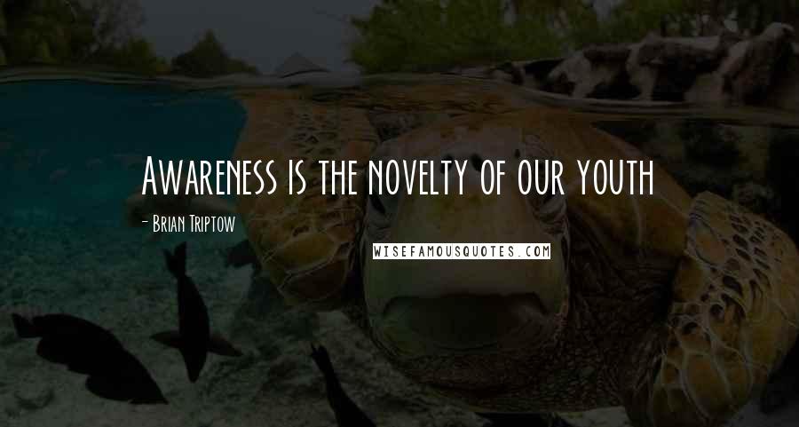 Brian Triptow Quotes: Awareness is the novelty of our youth