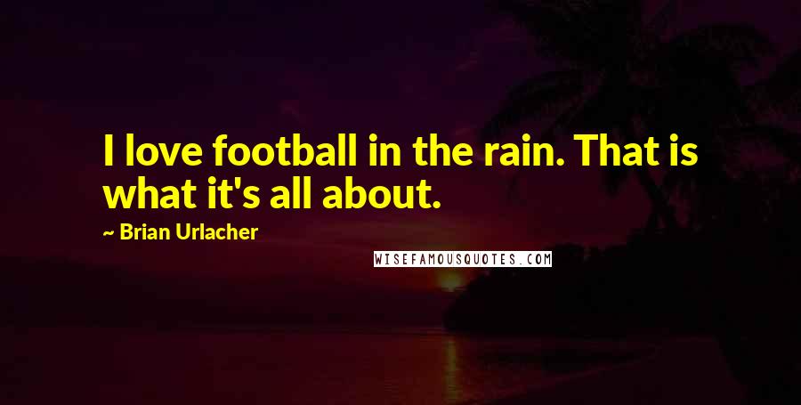 Brian Urlacher Quotes: I love football in the rain. That is what it's all about.