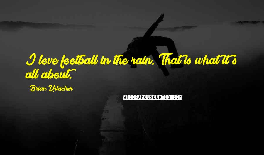 Brian Urlacher Quotes: I love football in the rain. That is what it's all about.