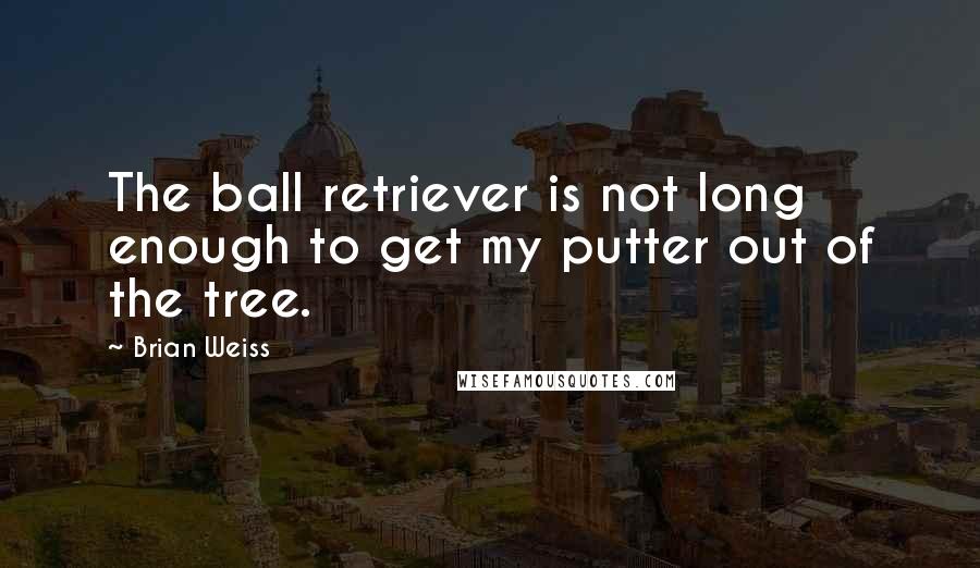 Brian Weiss Quotes: The ball retriever is not long enough to get my putter out of the tree.