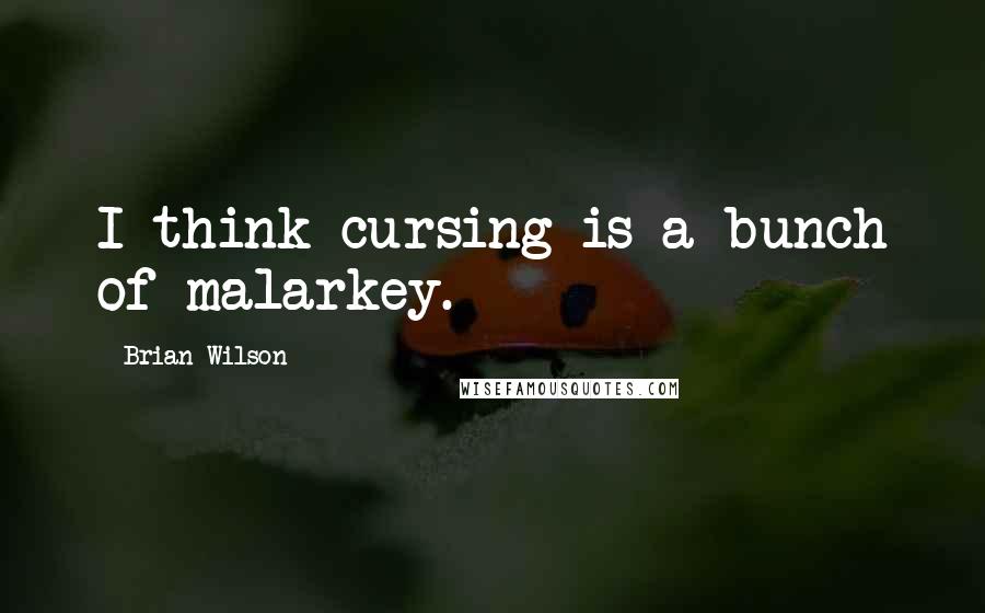 Brian Wilson Quotes: I think cursing is a bunch of malarkey.