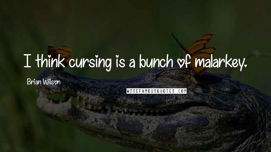 Brian Wilson Quotes: I think cursing is a bunch of malarkey.