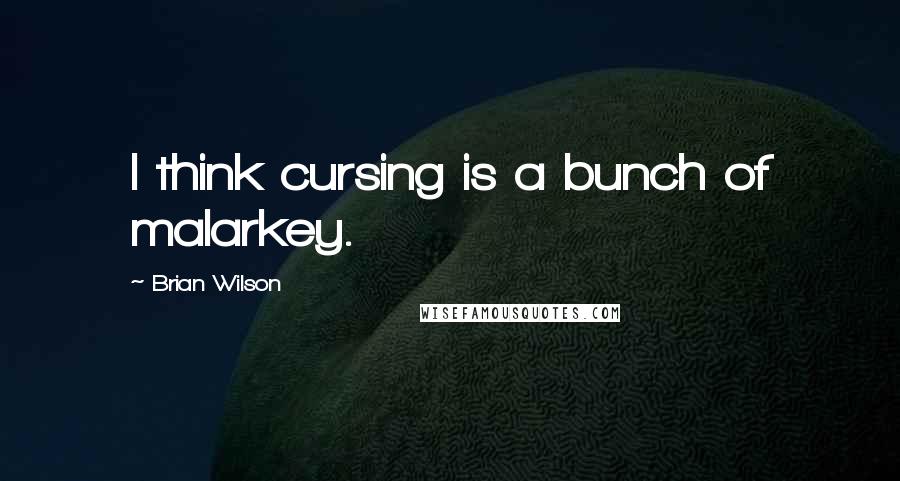 Brian Wilson Quotes: I think cursing is a bunch of malarkey.