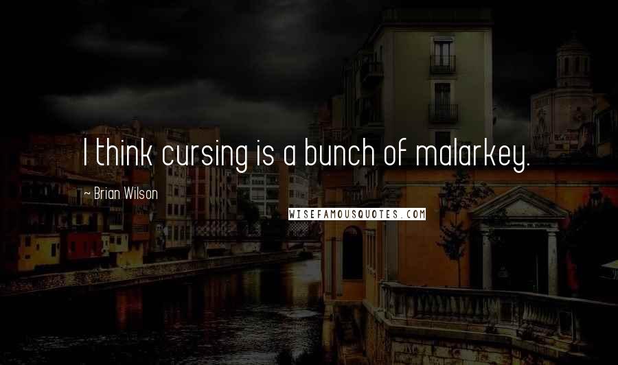 Brian Wilson Quotes: I think cursing is a bunch of malarkey.