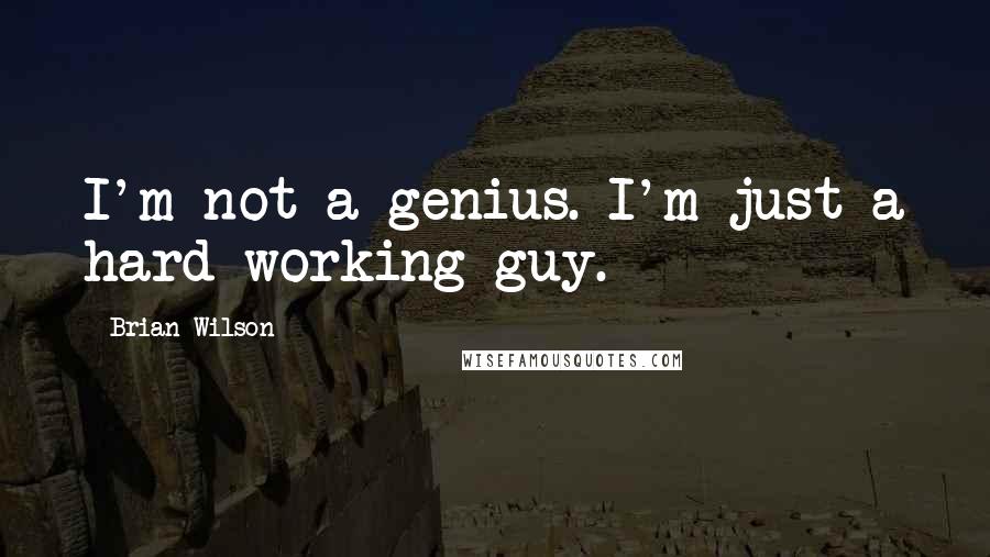 Brian Wilson Quotes: I'm not a genius. I'm just a hard-working guy.