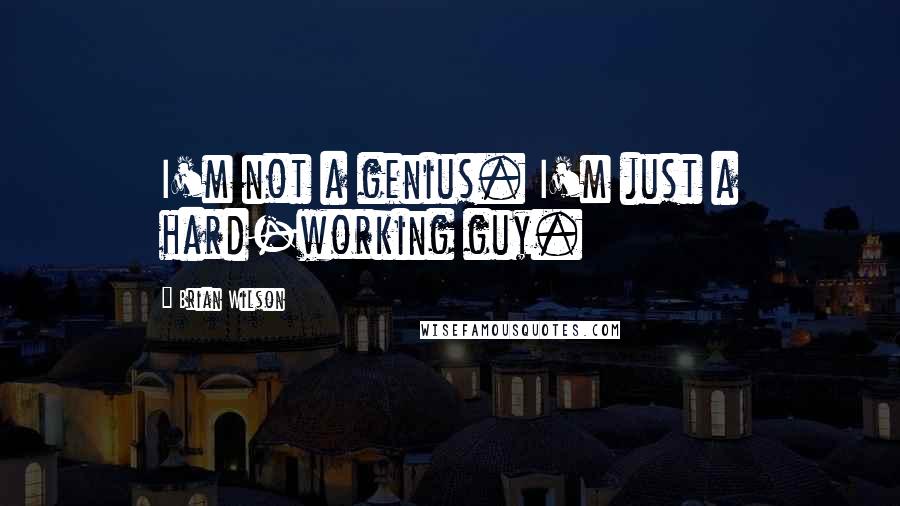 Brian Wilson Quotes: I'm not a genius. I'm just a hard-working guy.