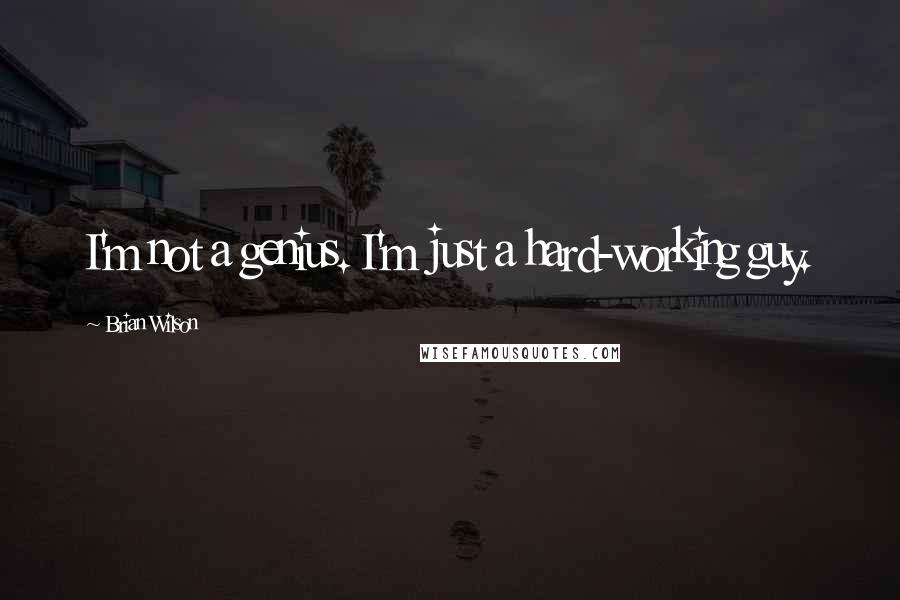 Brian Wilson Quotes: I'm not a genius. I'm just a hard-working guy.