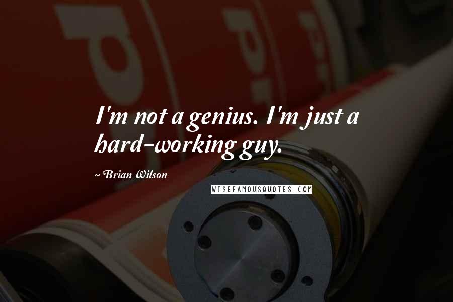 Brian Wilson Quotes: I'm not a genius. I'm just a hard-working guy.