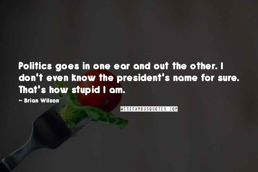 Brian Wilson Quotes: Politics goes in one ear and out the other. I don't even know the president's name for sure. That's how stupid I am.