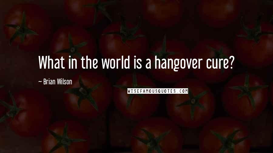 Brian Wilson Quotes: What in the world is a hangover cure?