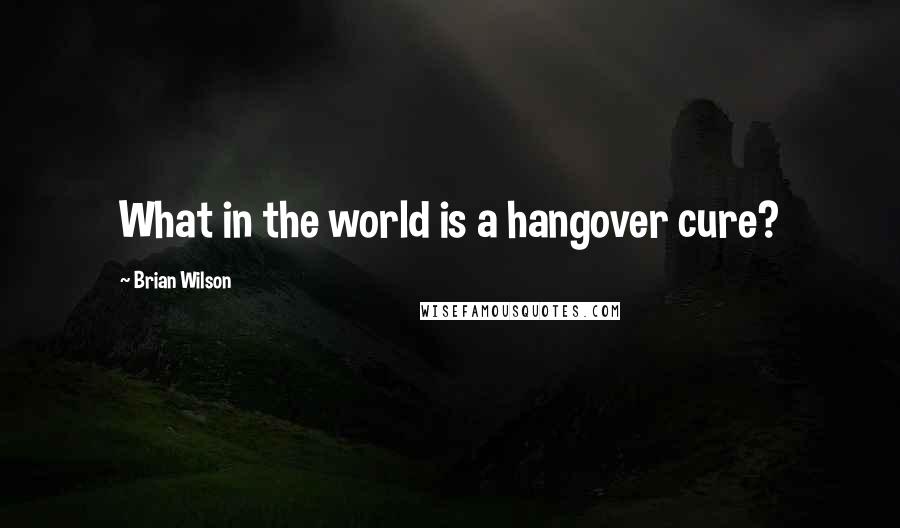 Brian Wilson Quotes: What in the world is a hangover cure?