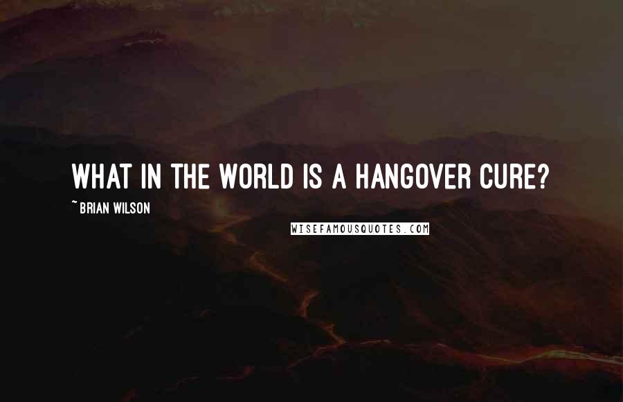Brian Wilson Quotes: What in the world is a hangover cure?