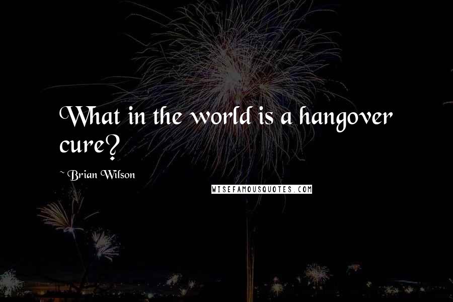 Brian Wilson Quotes: What in the world is a hangover cure?