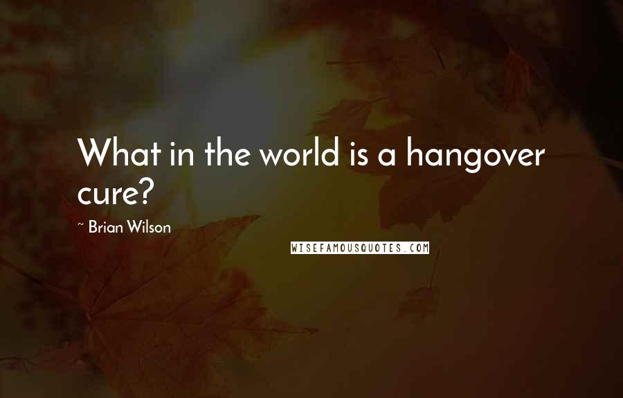 Brian Wilson Quotes: What in the world is a hangover cure?
