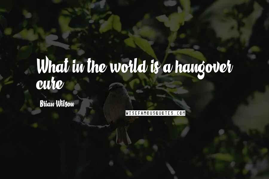 Brian Wilson Quotes: What in the world is a hangover cure?