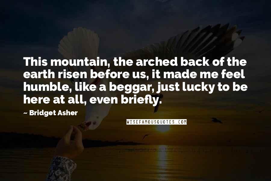 Bridget Asher Quotes: This mountain, the arched back of the earth risen before us, it made me feel humble, like a beggar, just lucky to be here at all, even briefly.