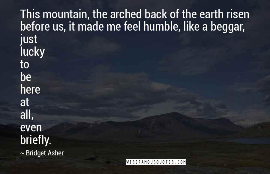 Bridget Asher Quotes: This mountain, the arched back of the earth risen before us, it made me feel humble, like a beggar, just lucky to be here at all, even briefly.