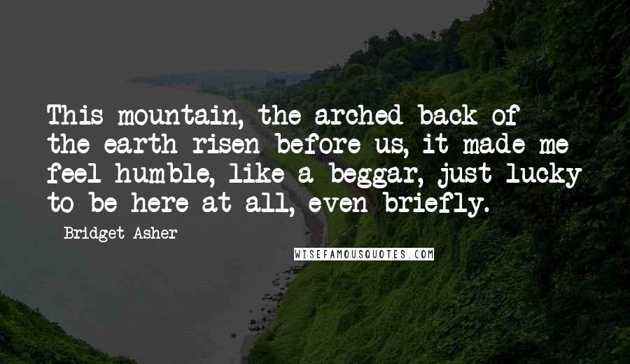 Bridget Asher Quotes: This mountain, the arched back of the earth risen before us, it made me feel humble, like a beggar, just lucky to be here at all, even briefly.