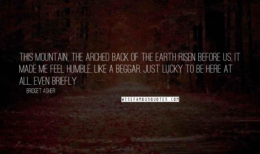 Bridget Asher Quotes: This mountain, the arched back of the earth risen before us, it made me feel humble, like a beggar, just lucky to be here at all, even briefly.