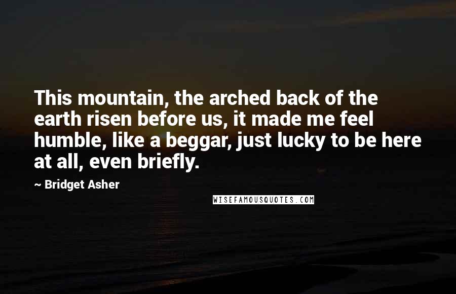Bridget Asher Quotes: This mountain, the arched back of the earth risen before us, it made me feel humble, like a beggar, just lucky to be here at all, even briefly.
