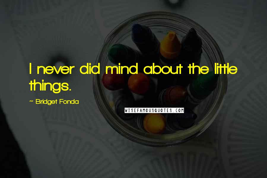 Bridget Fonda Quotes: I never did mind about the little things.