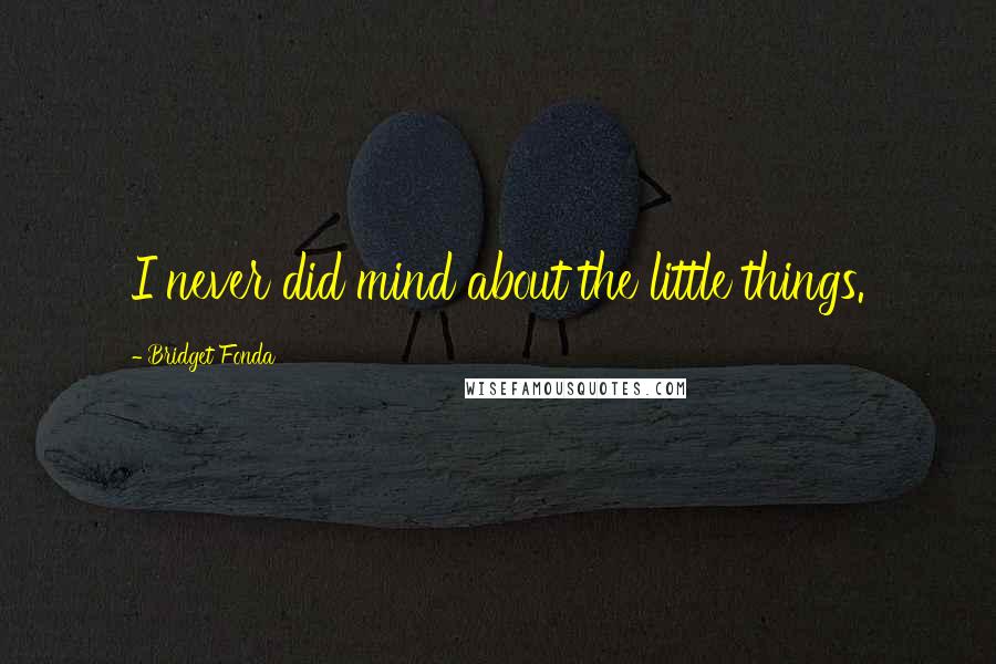 Bridget Fonda Quotes: I never did mind about the little things.