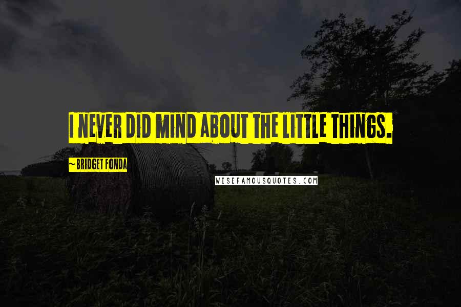 Bridget Fonda Quotes: I never did mind about the little things.