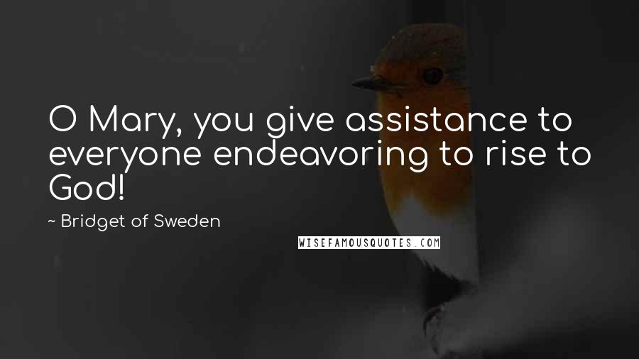 Bridget Of Sweden Quotes: O Mary, you give assistance to everyone endeavoring to rise to God!