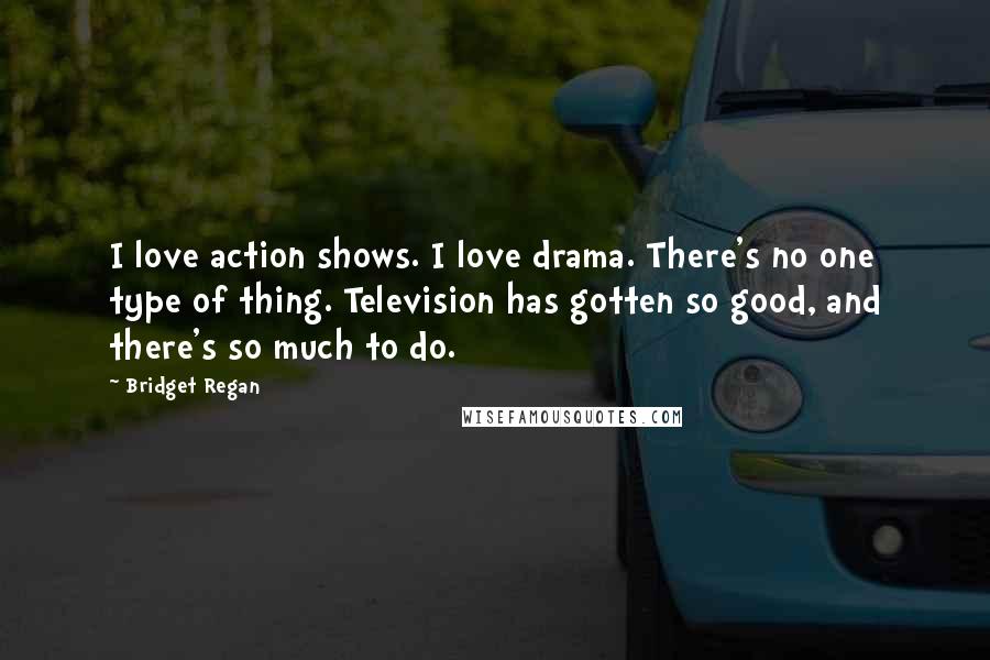 Bridget Regan Quotes: I love action shows. I love drama. There's no one type of thing. Television has gotten so good, and there's so much to do.