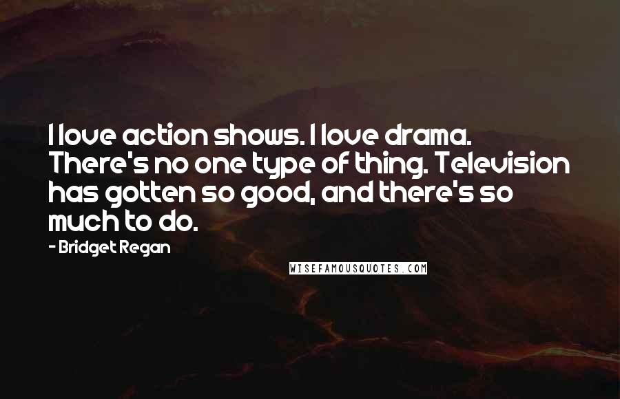 Bridget Regan Quotes: I love action shows. I love drama. There's no one type of thing. Television has gotten so good, and there's so much to do.
