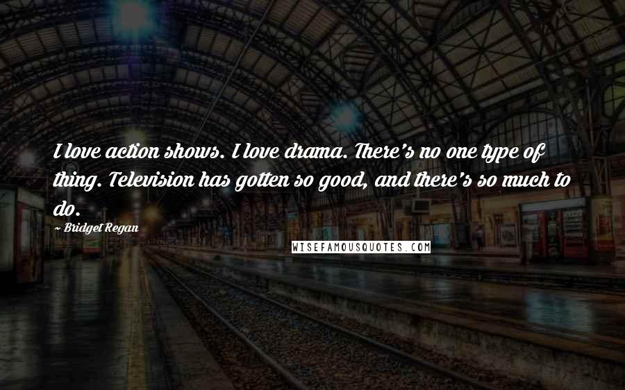 Bridget Regan Quotes: I love action shows. I love drama. There's no one type of thing. Television has gotten so good, and there's so much to do.