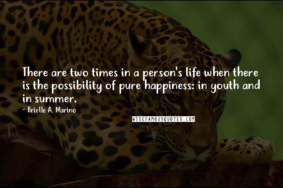 Brielle A. Marino Quotes: There are two times in a person's life when there is the possibility of pure happiness: in youth and in summer.