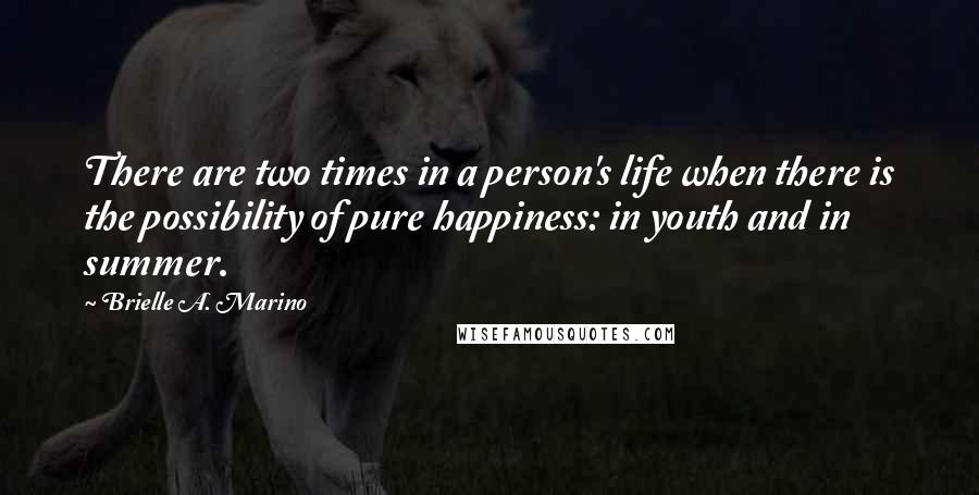 Brielle A. Marino Quotes: There are two times in a person's life when there is the possibility of pure happiness: in youth and in summer.