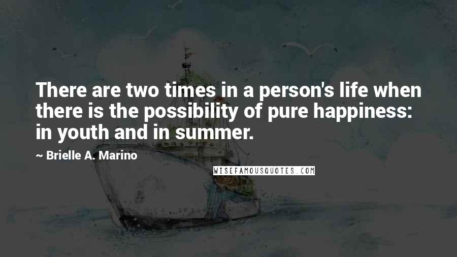 Brielle A. Marino Quotes: There are two times in a person's life when there is the possibility of pure happiness: in youth and in summer.