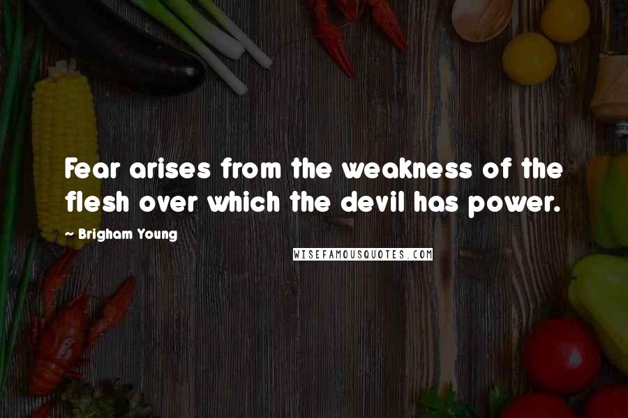 Brigham Young Quotes: Fear arises from the weakness of the flesh over which the devil has power.