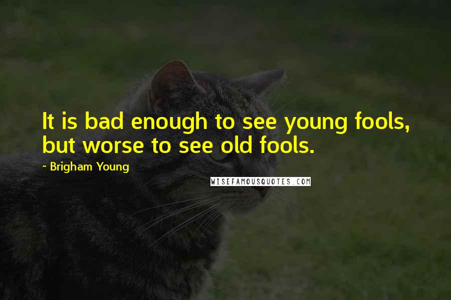 Brigham Young Quotes: It is bad enough to see young fools, but worse to see old fools.