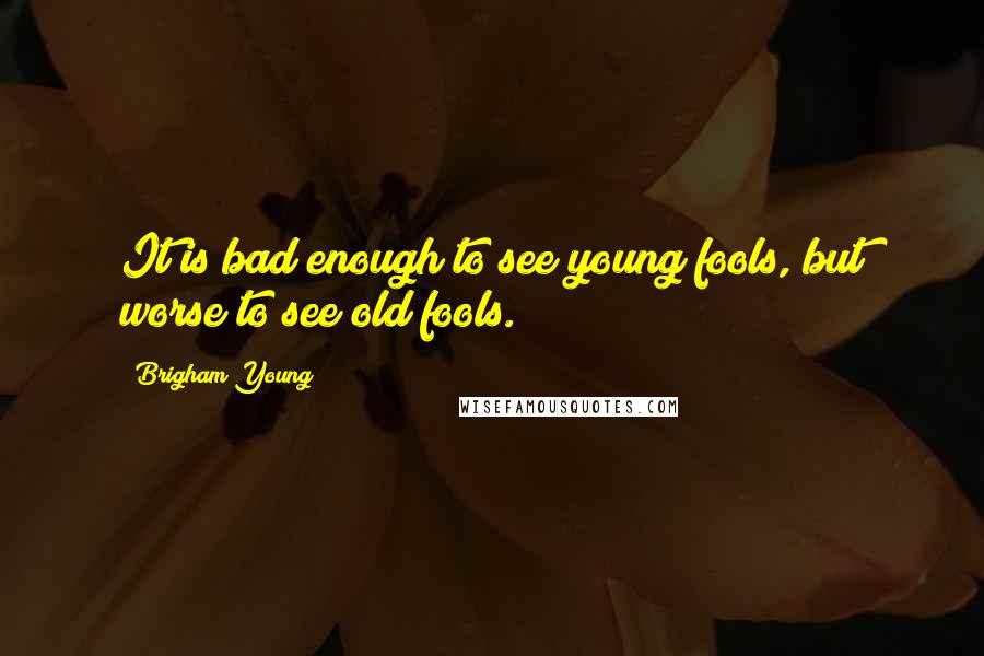 Brigham Young Quotes: It is bad enough to see young fools, but worse to see old fools.