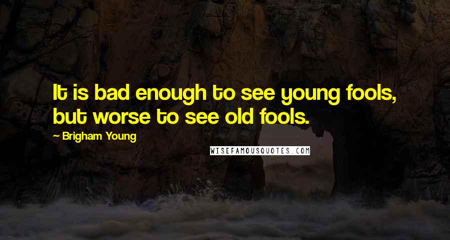 Brigham Young Quotes: It is bad enough to see young fools, but worse to see old fools.