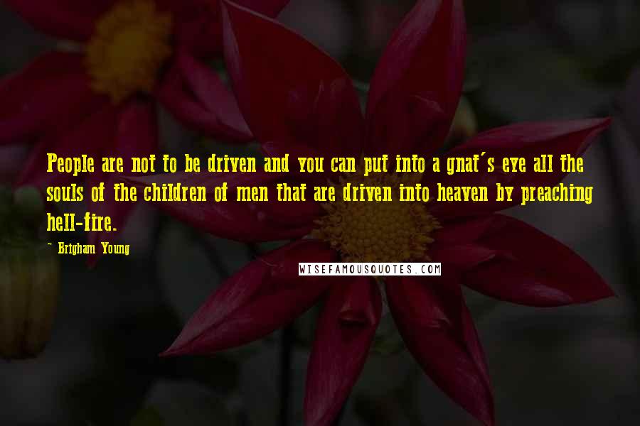 Brigham Young Quotes: People are not to be driven and you can put into a gnat's eye all the souls of the children of men that are driven into heaven by preaching hell-fire.