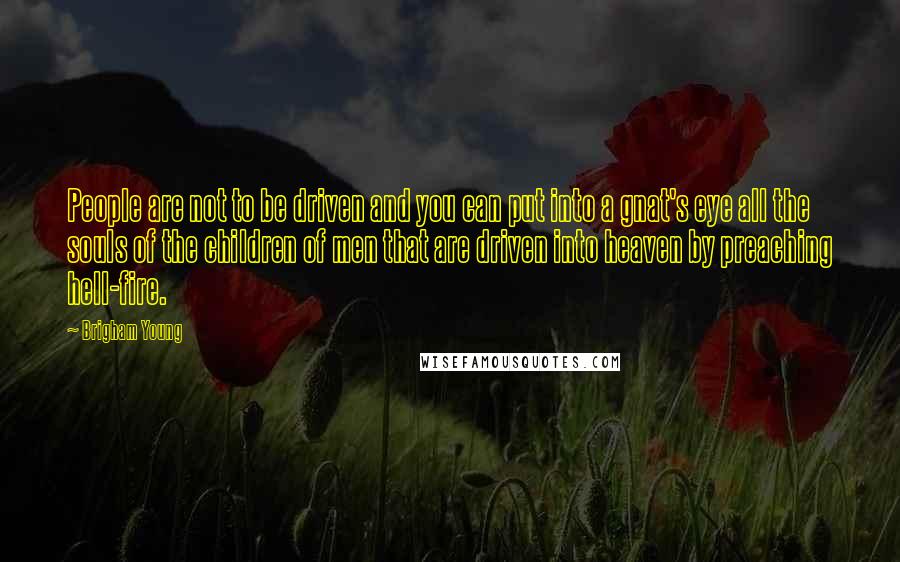 Brigham Young Quotes: People are not to be driven and you can put into a gnat's eye all the souls of the children of men that are driven into heaven by preaching hell-fire.