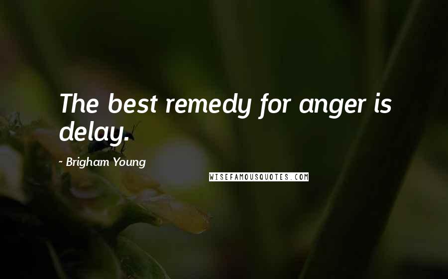 Brigham Young Quotes: The best remedy for anger is delay.