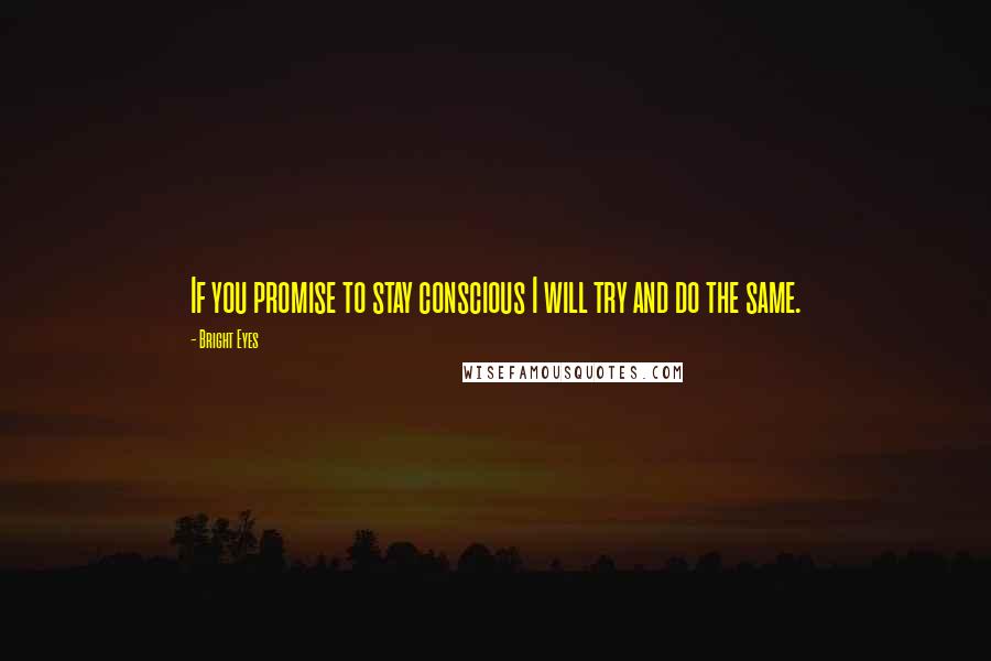 Bright Eyes Quotes: If you promise to stay conscious I will try and do the same.