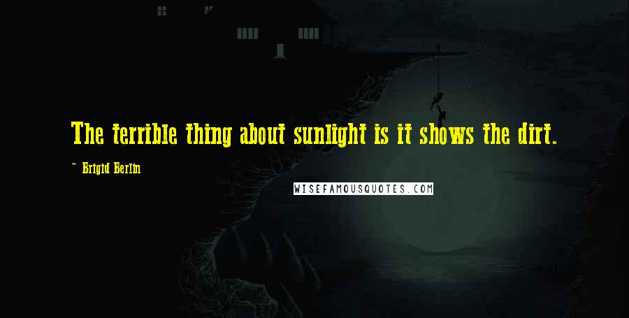 Brigid Berlin Quotes: The terrible thing about sunlight is it shows the dirt.