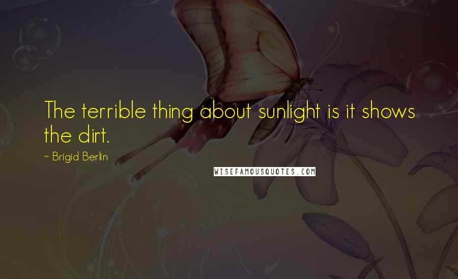 Brigid Berlin Quotes: The terrible thing about sunlight is it shows the dirt.