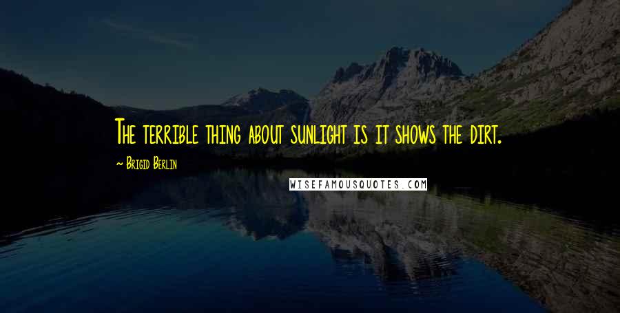 Brigid Berlin Quotes: The terrible thing about sunlight is it shows the dirt.